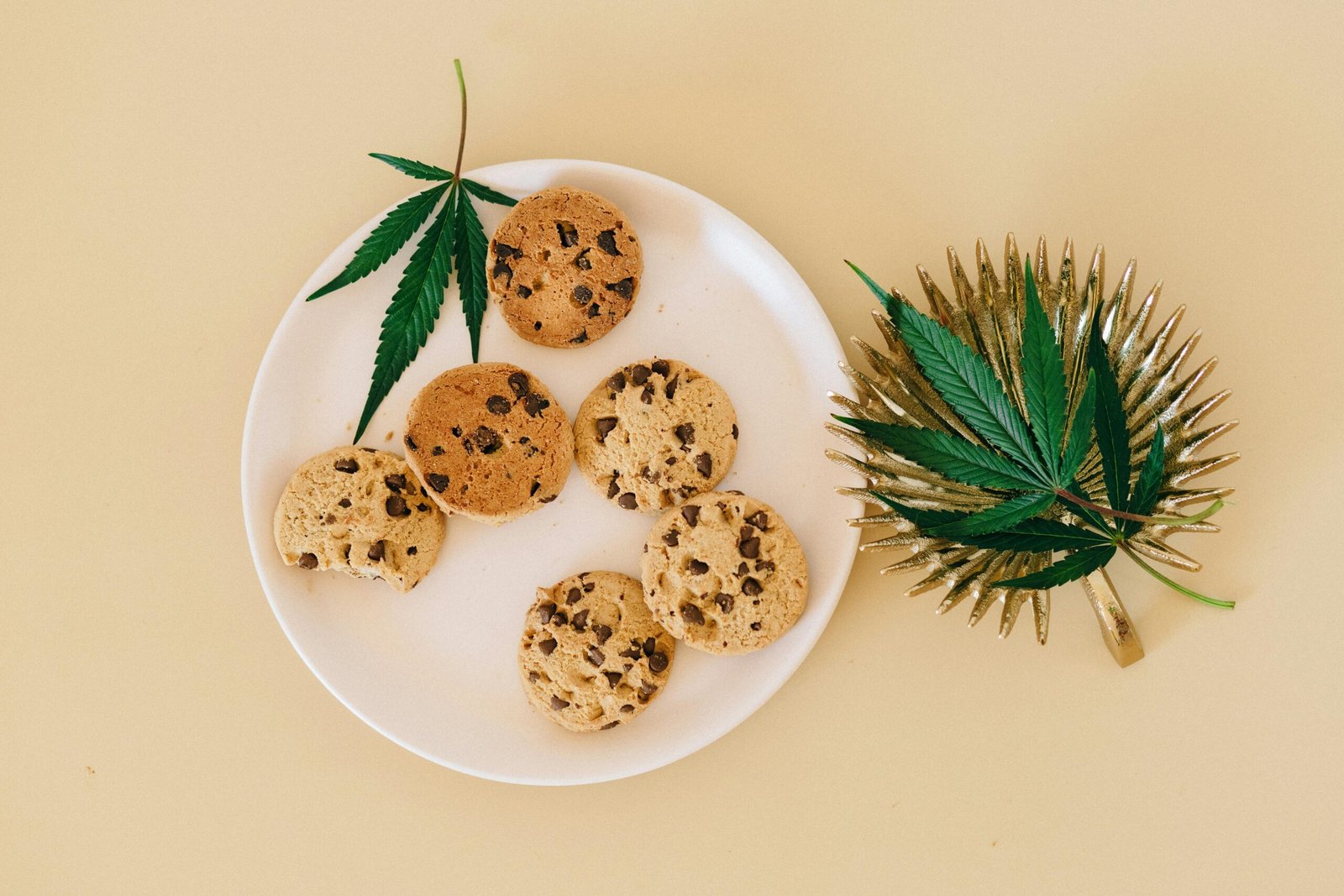 Top view of cannabis infused chocolate chip cookies on a ceramic plate and cannabis leaves on a yellow background.